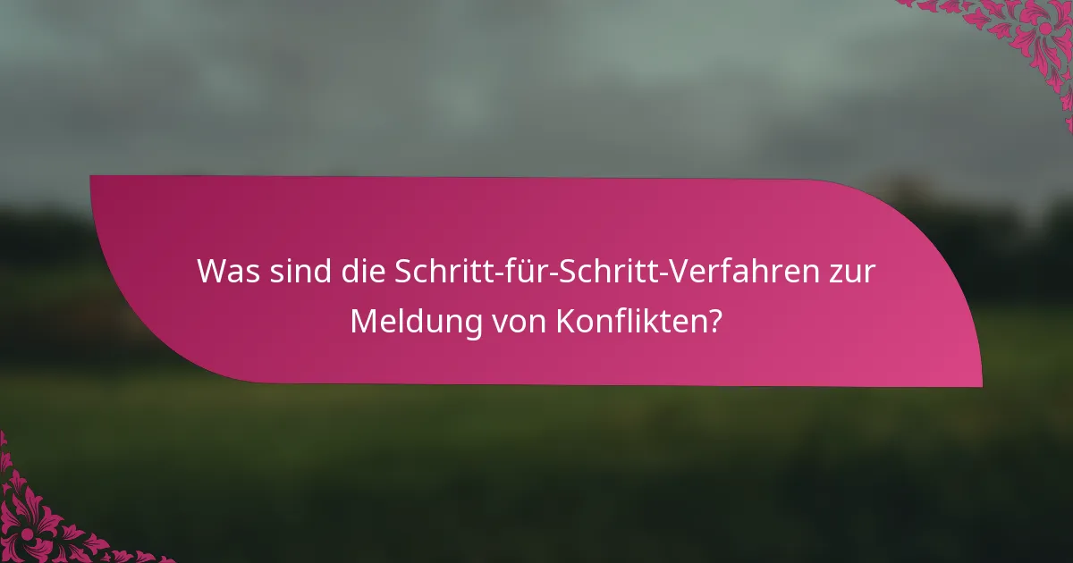Was sind die Schritt-für-Schritt-Verfahren zur Meldung von Konflikten?
